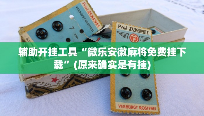 辅助开挂工具“微乐安徽麻将免费挂下载”(原来确实是有挂)