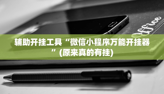辅助开挂工具“微信小程序万能开挂器”(原来真的有挂)