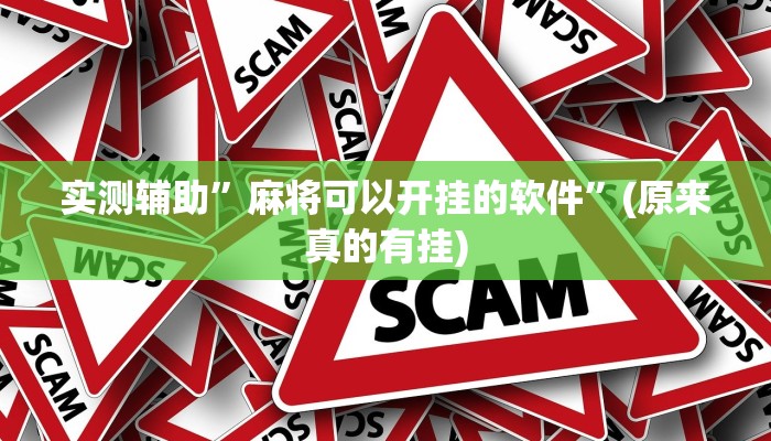 实测辅助”麻将可以开挂的软件”(原来真的有挂)