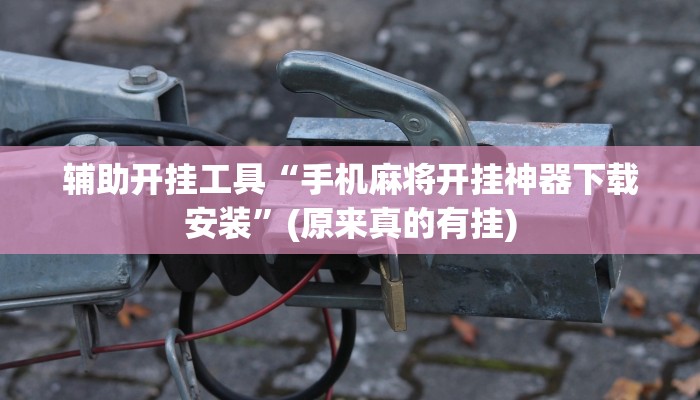 辅助开挂工具“手机麻将开挂神器下载安装”(原来真的有挂)