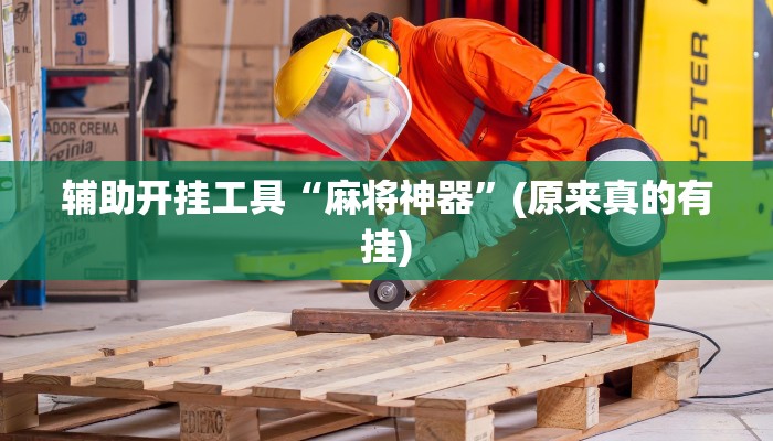 辅助开挂工具“麻将神器”(原来真的有挂)