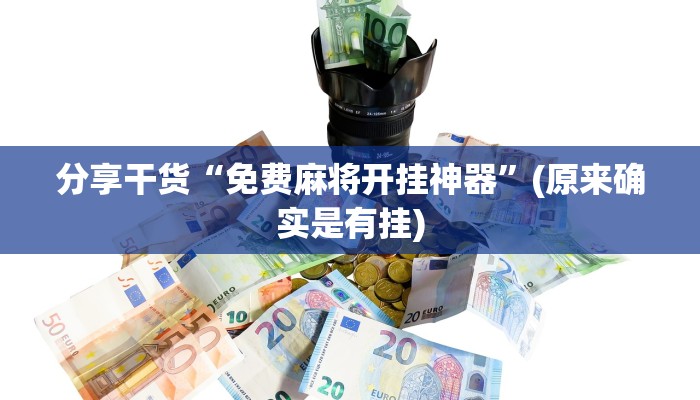 分享干货“免费麻将开挂神器”(原来确实是有挂)