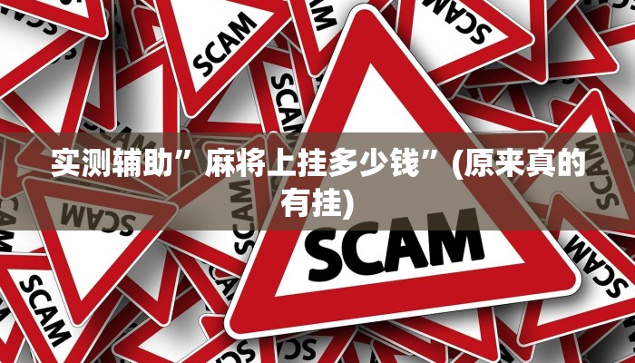实测辅助”麻将上挂多少钱”(原来真的有挂)