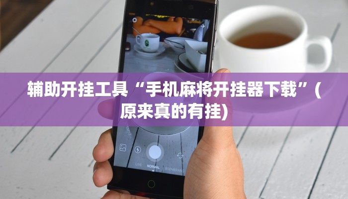 辅助开挂工具“手机麻将开挂器下载”(原来真的有挂)