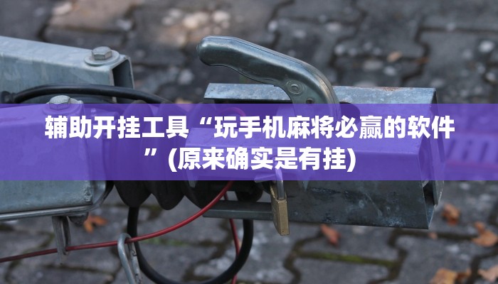 辅助开挂工具“玩手机麻将必赢的软件”(原来确实是有挂)