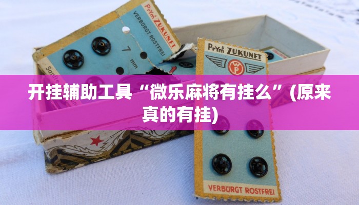 开挂辅助工具“微乐麻将有挂么”(原来真的有挂)