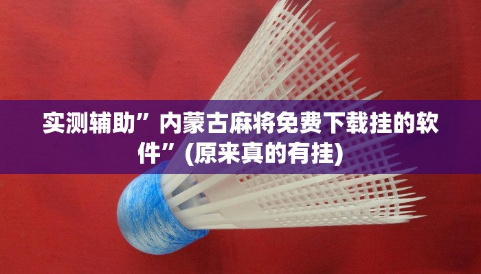 实测辅助”内蒙古麻将免费下载挂的软件”(原来真的有挂)