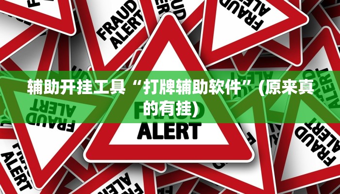 辅助开挂工具“打牌辅助软件”(原来真的有挂)