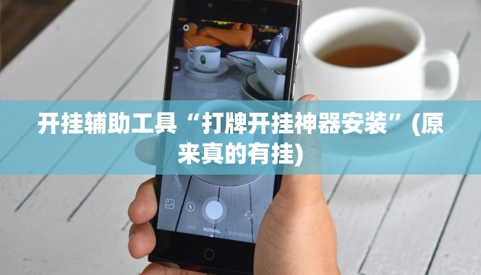 开挂辅助工具“打牌开挂神器安装”(原来真的有挂)
