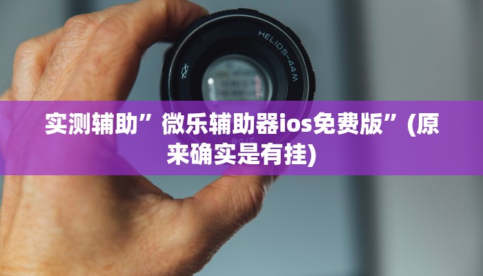 实测辅助”微乐辅助器ios免费版”(原来确实是有挂)