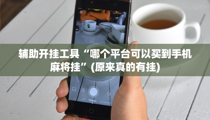辅助开挂工具“哪个平台可以买到手机麻将挂”(原来真的有挂)