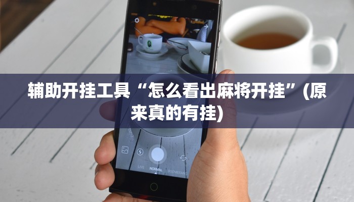 辅助开挂工具“怎么看出麻将开挂”(原来真的有挂)