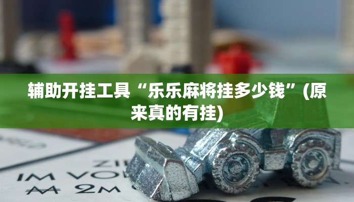 辅助开挂工具“乐乐麻将挂多少钱”(原来真的有挂)