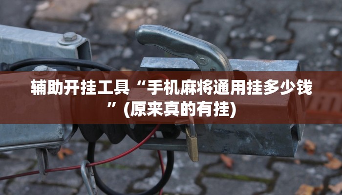 辅助开挂工具“手机麻将通用挂多少钱”(原来真的有挂)