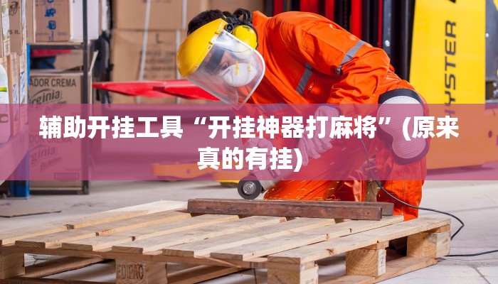 辅助开挂工具“开挂神器打麻将”(原来真的有挂)