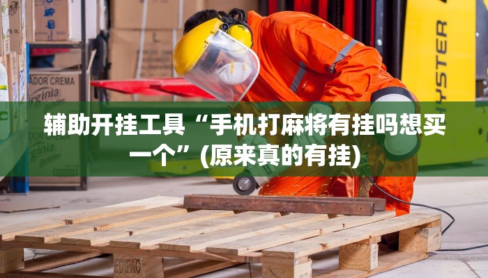 辅助开挂工具“手机打麻将有挂吗想买一个”(原来真的有挂)