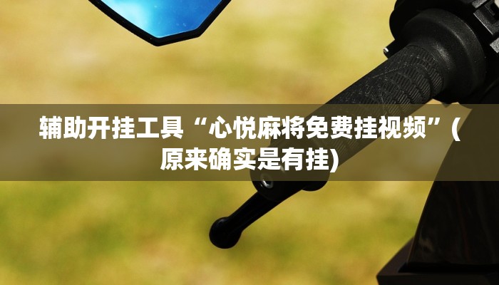辅助开挂工具“心悦麻将免费挂视频”(原来确实是有挂)