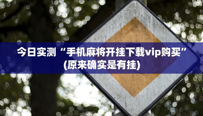 今日实测“手机麻将开挂下载vip购买”(原来确实是有挂)
