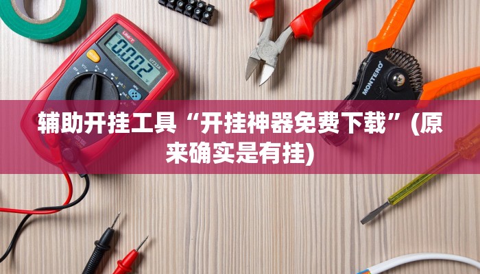 辅助开挂工具“开挂神器免费下载”(原来确实是有挂)