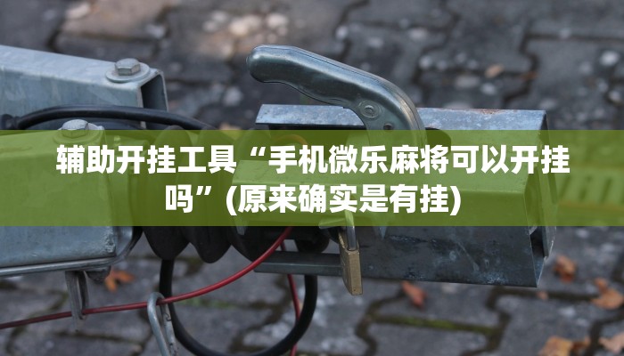 辅助开挂工具“手机微乐麻将可以开挂吗”(原来确实是有挂)