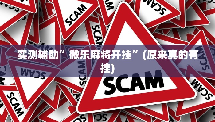 实测辅助”微乐麻将开挂”(原来真的有挂)