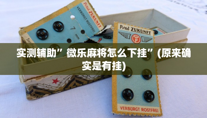 实测辅助”微乐麻将怎么下挂”(原来确实是有挂)