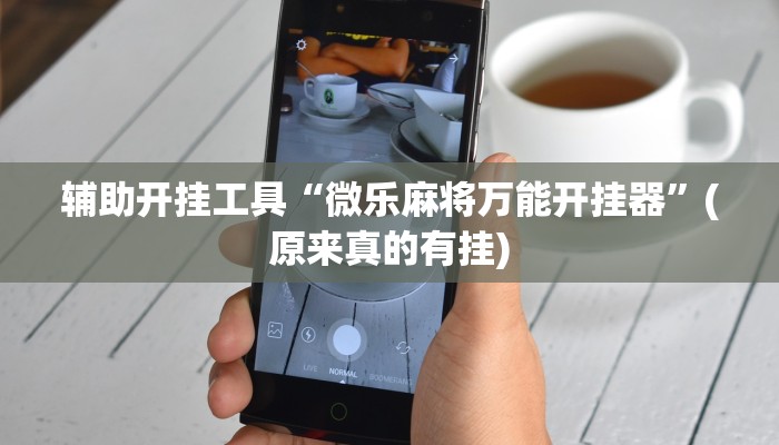 辅助开挂工具“微乐麻将万能开挂器”(原来真的有挂)