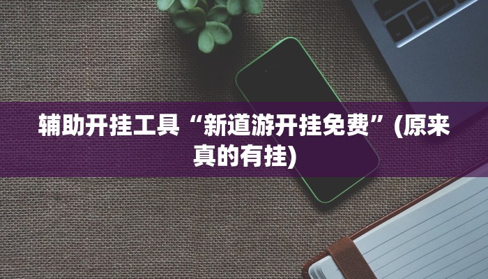 辅助开挂工具“新道游开挂免费”(原来真的有挂)