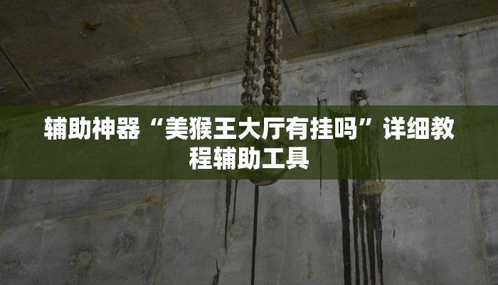 辅助神器“美猴王大厅有挂吗”详细教程辅助工具