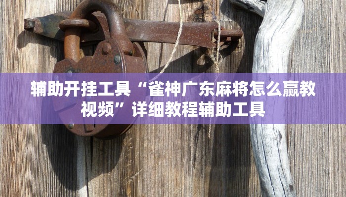 辅助开挂工具“雀神广东麻将怎么赢教视频”详细教程辅助工具