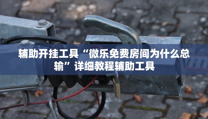 辅助开挂工具“微乐免费房间为什么总输”详细教程辅助工具