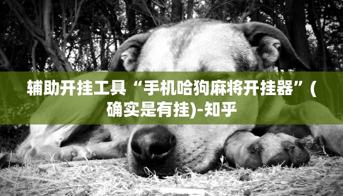 辅助开挂工具“手机哈狗麻将开挂器”(确实是有挂)-知乎