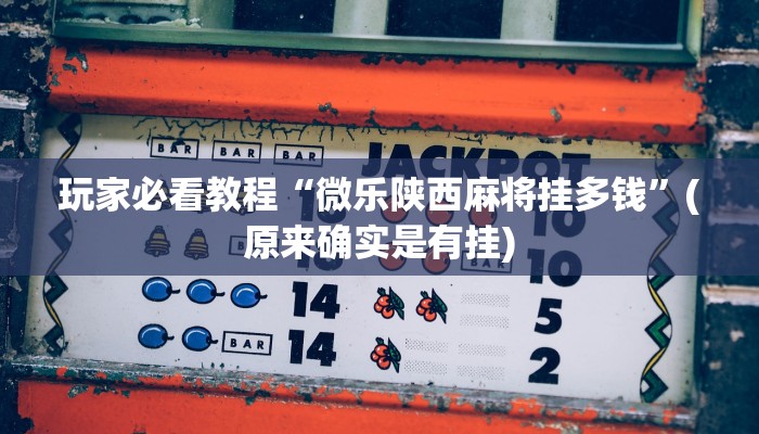 玩家必看教程“微乐陕西麻将挂多钱”(原来确实是有挂)