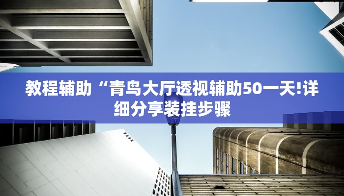 教程辅助“青鸟大厅透视辅助50一天!详细分享装挂步骤