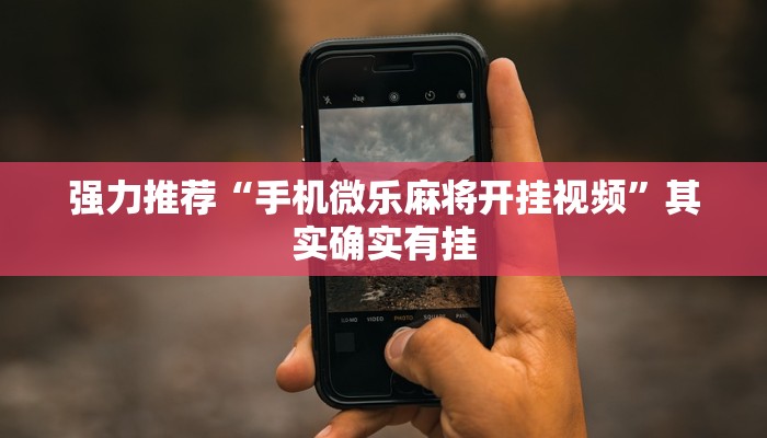 强力推荐“手机微乐麻将开挂视频”其实确实有挂
