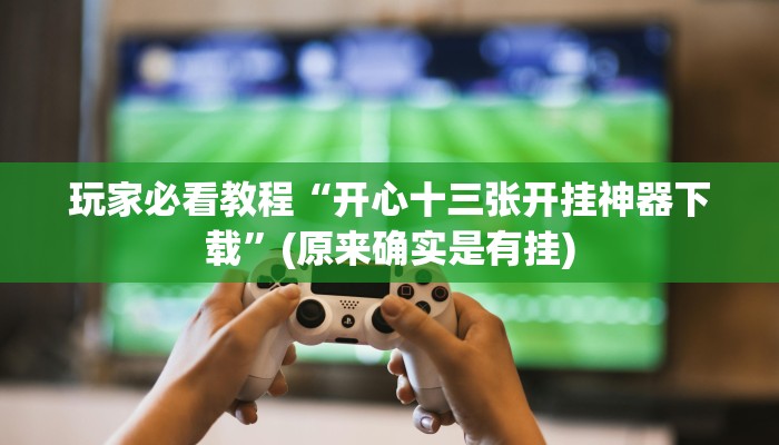 辅助神器“鸿狐大厅有挂吗!详细分享装挂步骤