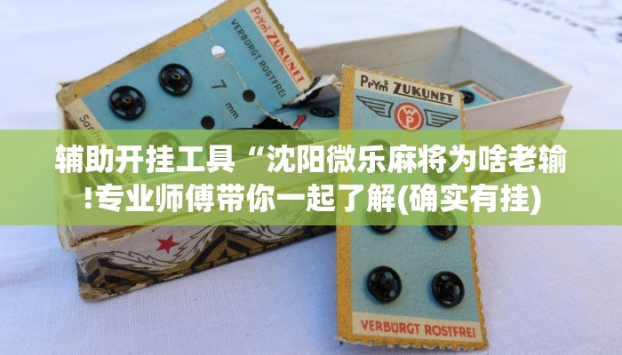 辅助开挂工具“沈阳微乐麻将为啥老输!专业师傅带你一起了解(确实有挂)