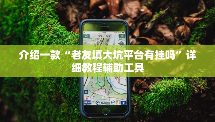 介绍一款“老友填大坑平台有挂吗”详细教程辅助工具