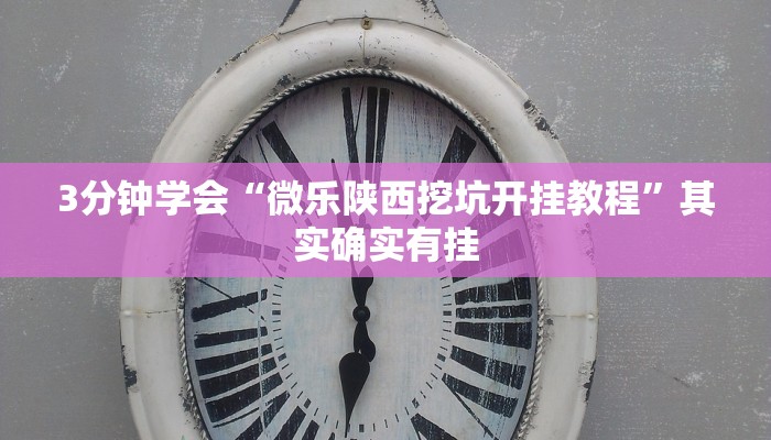 3分钟学会“微乐陕西挖坑开挂教程”其实确实有挂