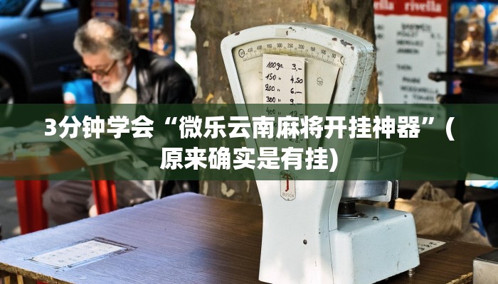 3分钟学会“微乐云南麻将开挂神器”(原来确实是有挂)