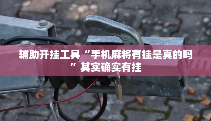 辅助开挂工具“手机麻将有挂是真的吗”其实确实有挂