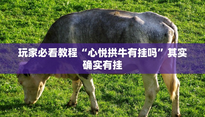 玩家必看教程“心悦拱牛有挂吗”其实确实有挂