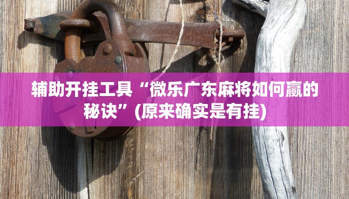 辅助开挂工具“微乐广东麻将如何赢的秘诀”(原来确实是有挂)