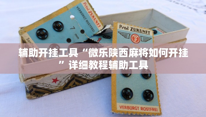 辅助开挂工具“微乐陕西麻将如何开挂”详细教程辅助工具