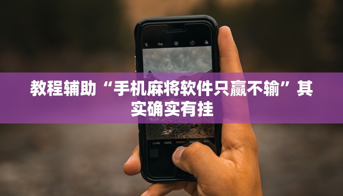 教程辅助“手机麻将软件只赢不输”其实确实有挂