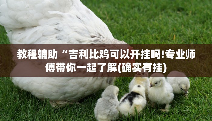 教程辅助“吉利比鸡可以开挂吗!专业师傅带你一起了解(确实有挂)