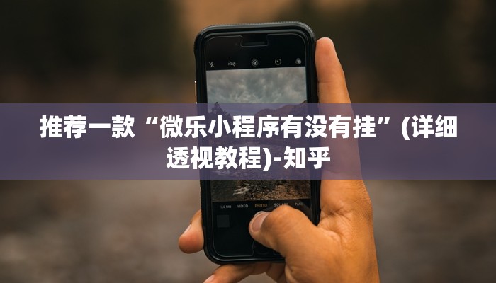 推荐一款“微乐小程序有没有挂”(详细透视教程)-知乎