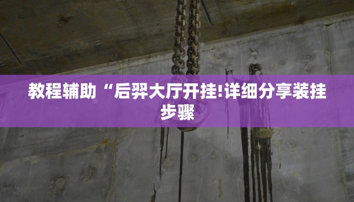 教程辅助“后羿大厅开挂!详细分享装挂步骤