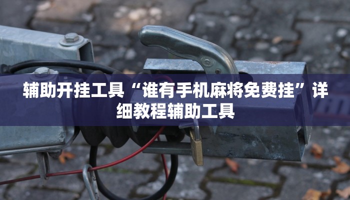 辅助开挂工具“谁有手机麻将免费挂”详细教程辅助工具