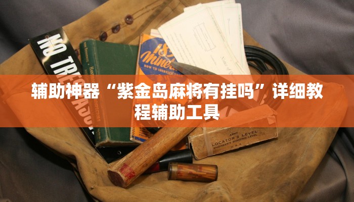 辅助神器“紫金岛麻将有挂吗”详细教程辅助工具